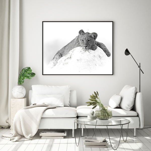 Lion No.10 Limited Print