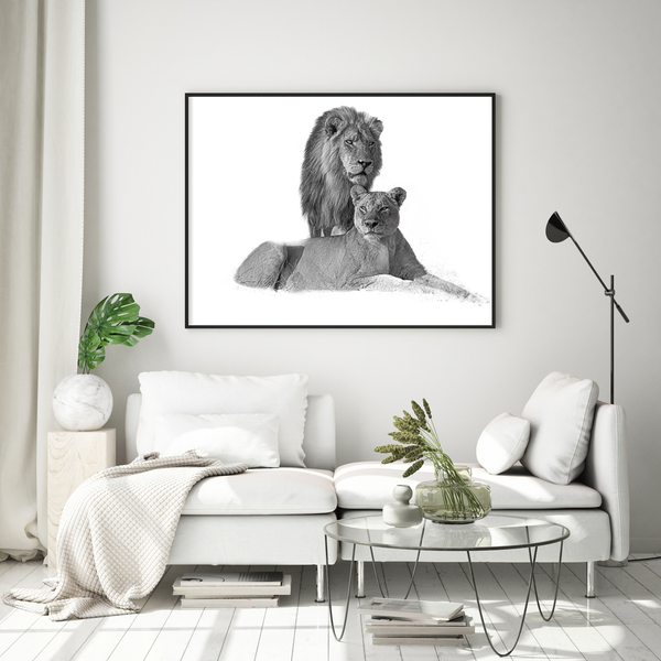 Lion No.11 Limited Print