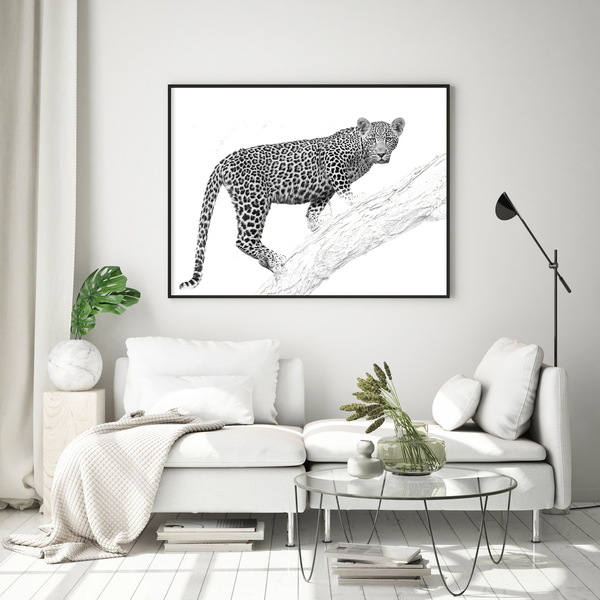 Leopard No.12 Limited Print