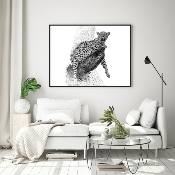 Leopard No.13 Limited Print