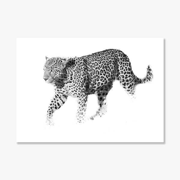 Leopard No.2 Limited Print