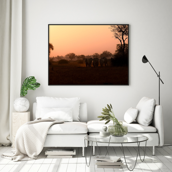 Elephant No.20 Limited Print