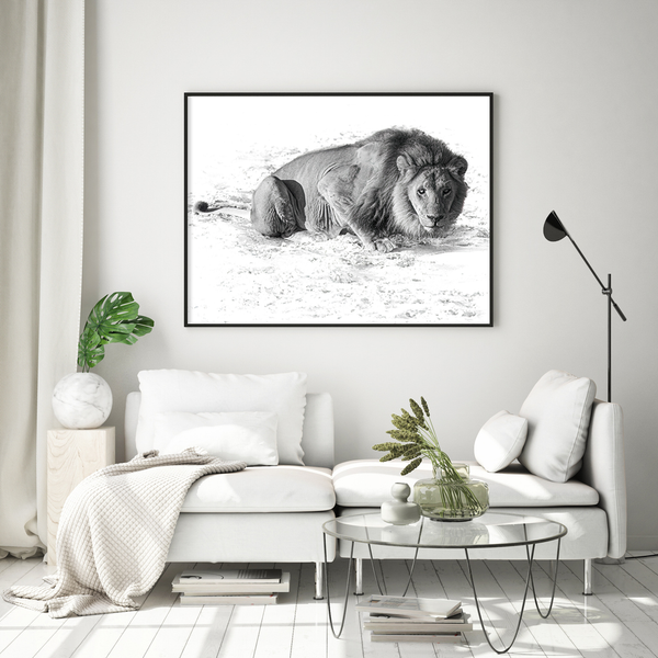Lion No.1 Limited Print