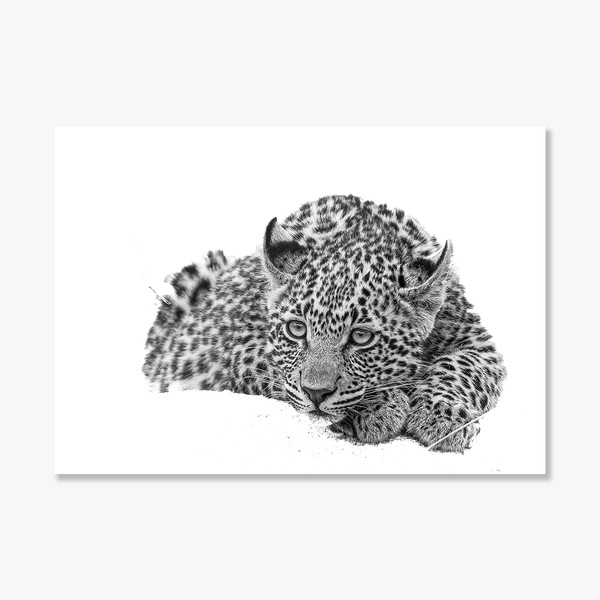 Leopard No.3 Limited Print