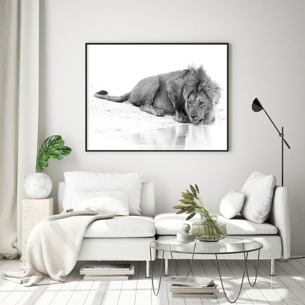 Lion No.3 Limited Print