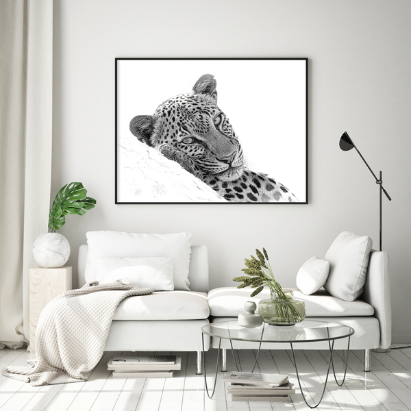 Leopard No.4 Limited Print