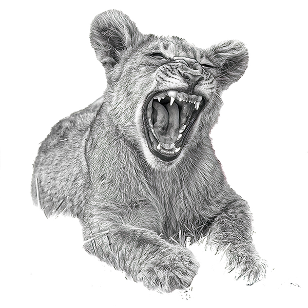 Lion No.4 Limited Print