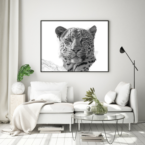 Leopard No.5 Limited Print