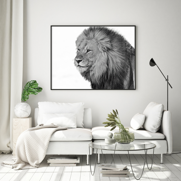 Lion No.5 Limited Print