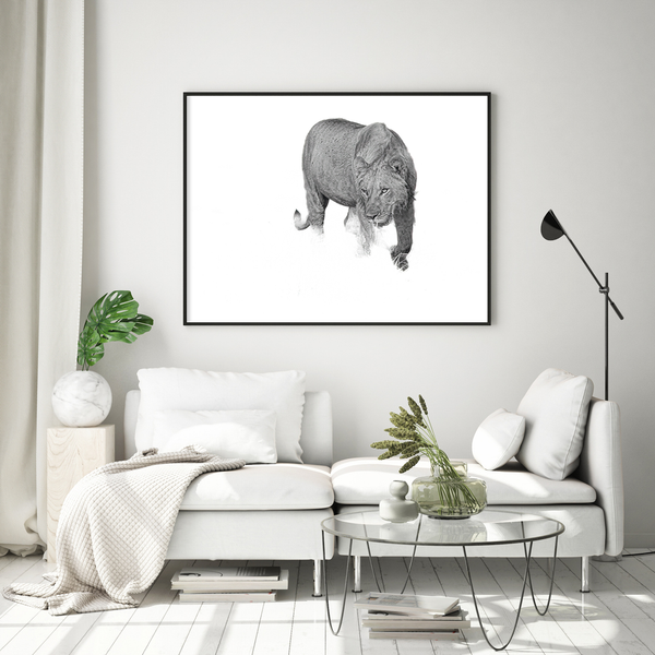 Lion No.6 Limited Print