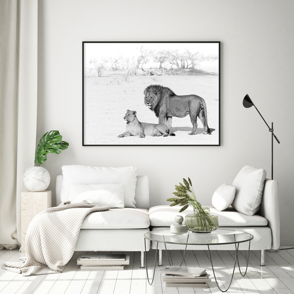 Lion No.8 Limited Print