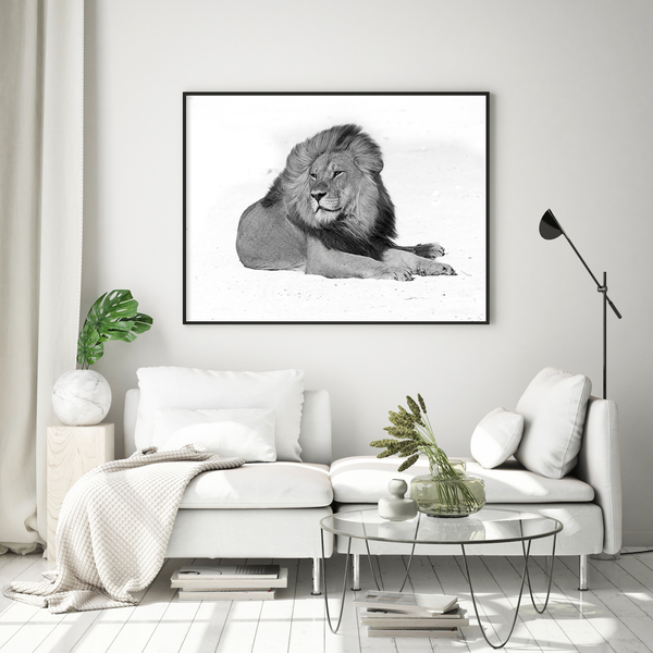 Lion No.9 Limited Print