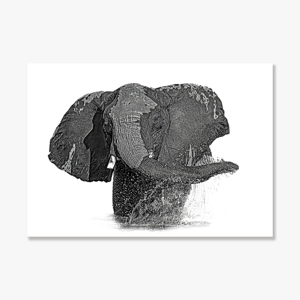 Elephant No.22 Limited Print