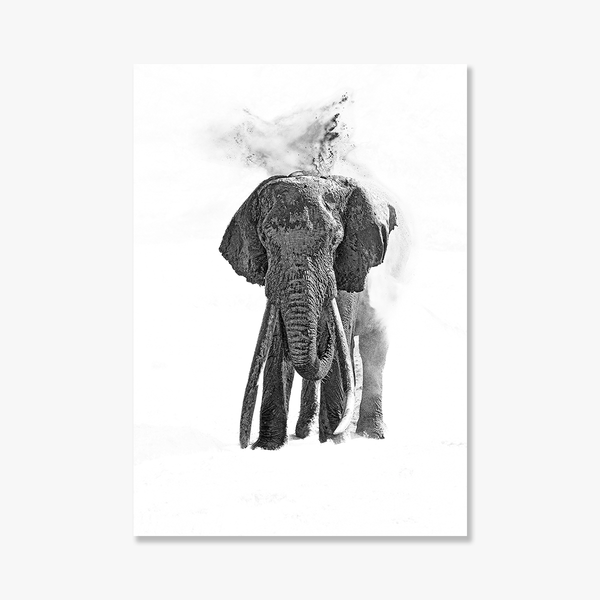 Elephant No.23 Limited Print