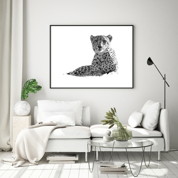 Cheetah No.2 Limited Print