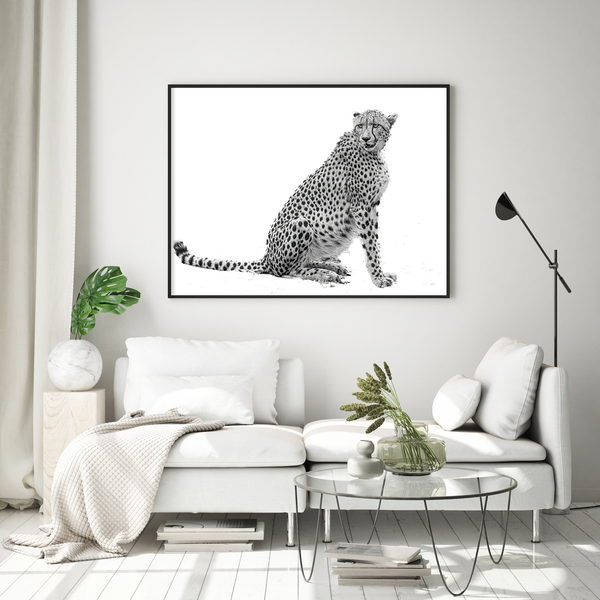 Cheetah No.3 Limited Print