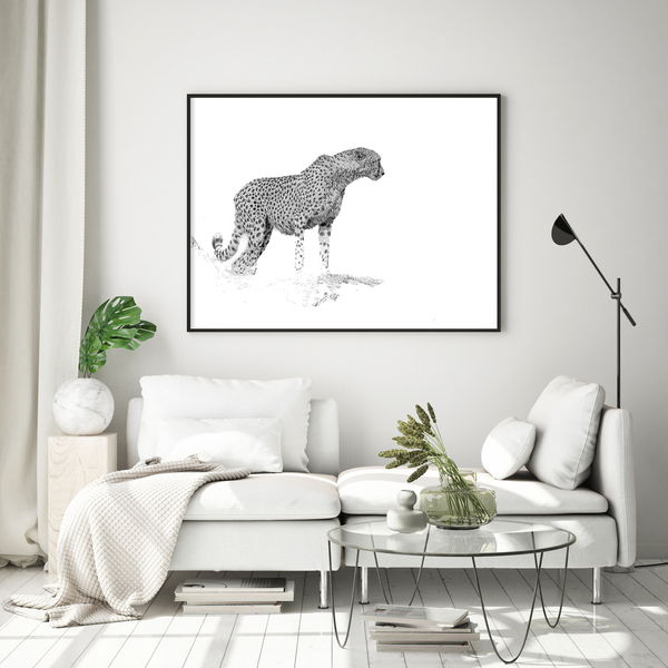 Cheetah No.5 Limited Print