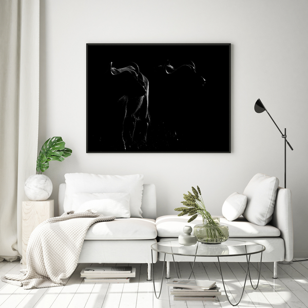 Buffalo No.1 Limited Print