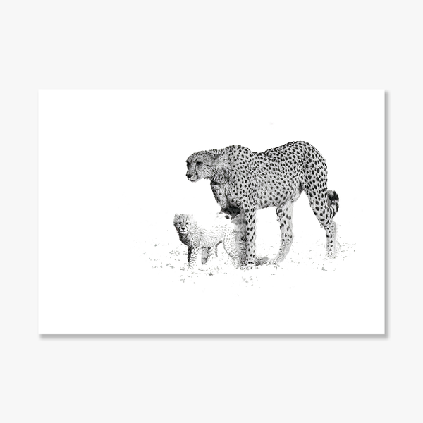 Cheetah No.4 Limited Print