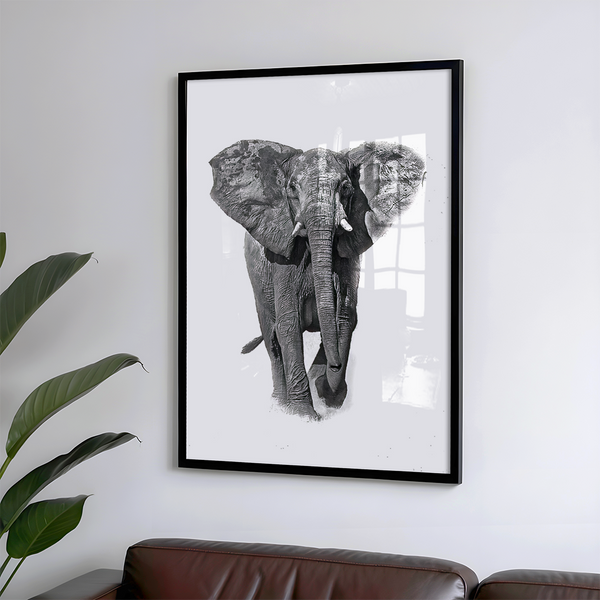 Elephant No.12 Limited Print