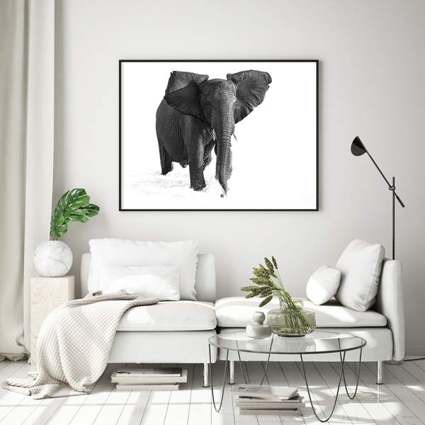 Elephant No.10 Limited Print