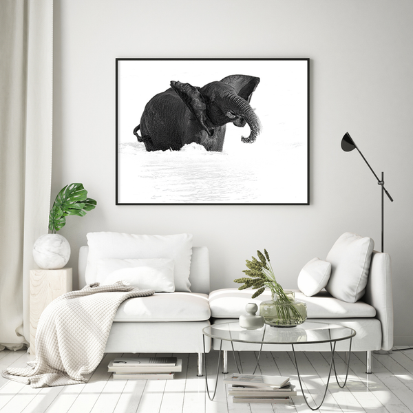 Elephant No.11 Limited Print