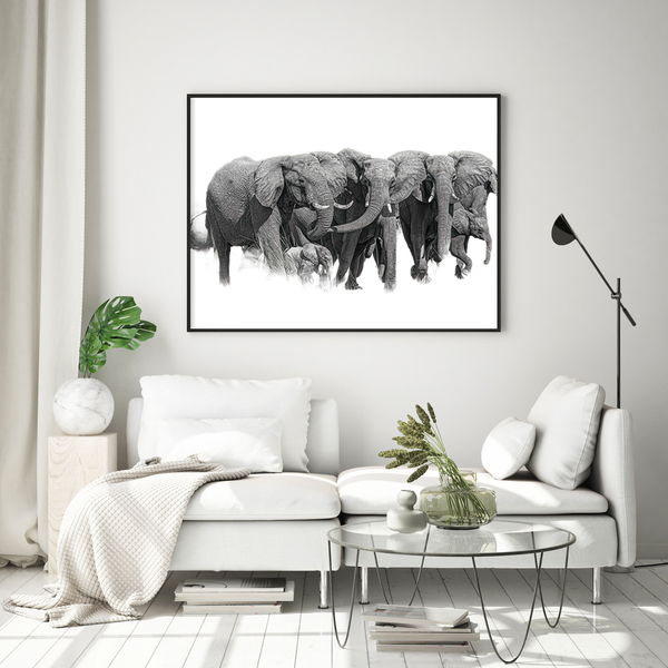 Elephant No.13 Limited Print