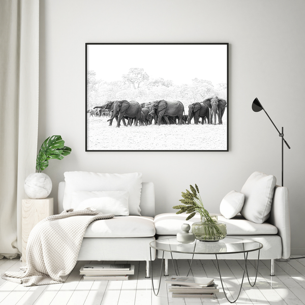 Elephant No.14 Limited Print