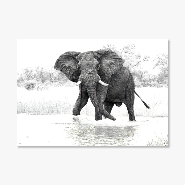 Elephant No.15 Limited Print