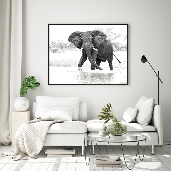 Elephant No.15 Limited Print