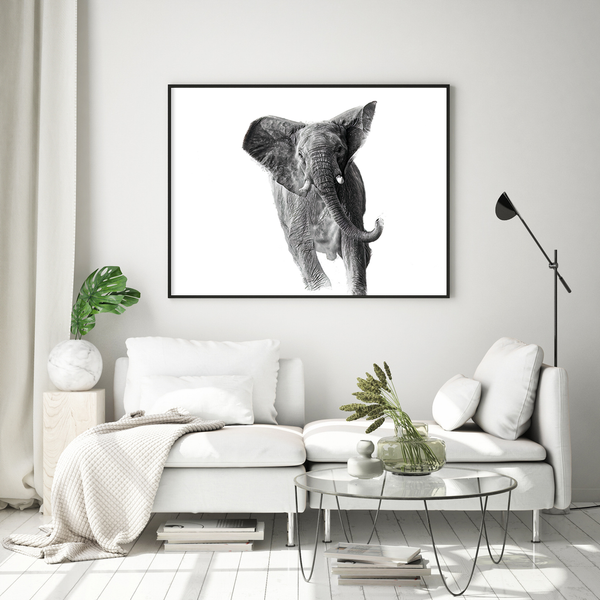 Elephant No.16 Limited Print