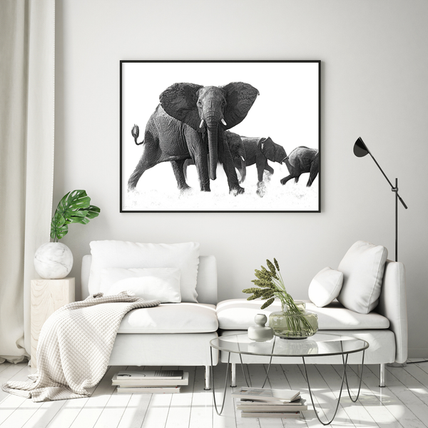Elephant No.17 Limited Print