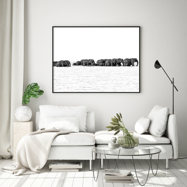 Elephant No.18 Limited Print