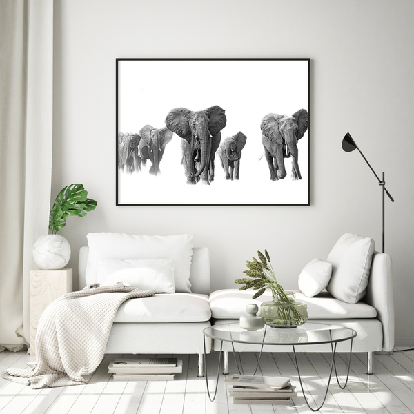 Elephant No.1 Limited Print
