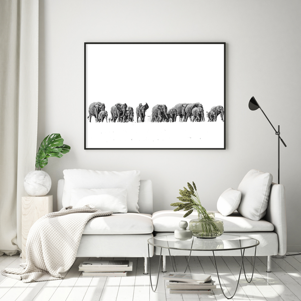 Elephant No.3 Limited Print