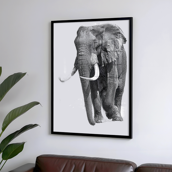 Elephant No.4 Limited Print