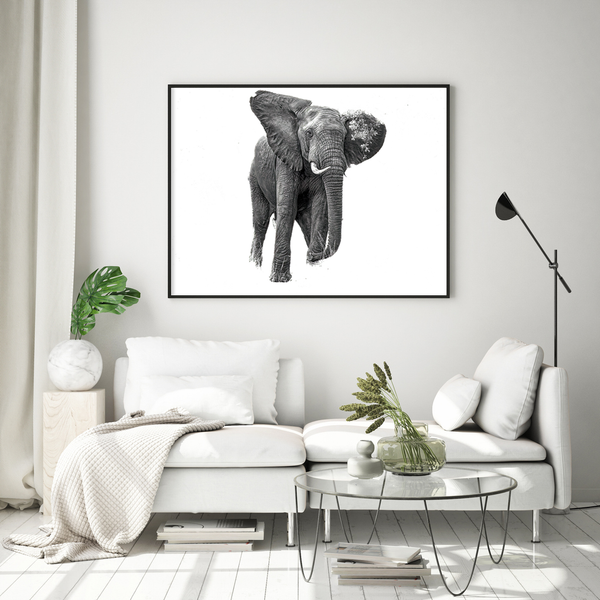 Elephant No.5 Limited Print