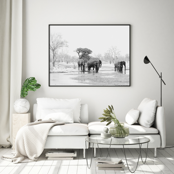 Elephant No.6 Limited Print