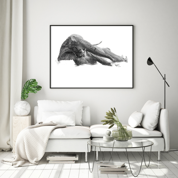 Elephant No.7 Limited Print