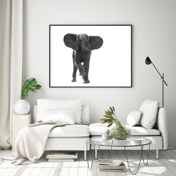 Elephant No.9 Limited Print