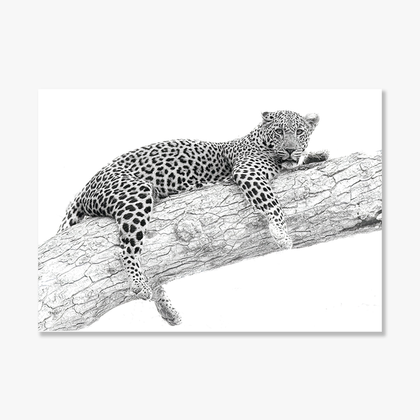 Leopard No.10 Limited Print