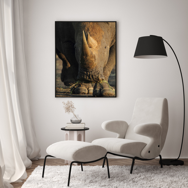 Rhino No.1 Limited Print