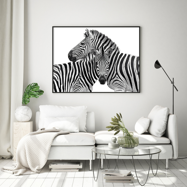 Zebra No.2 Limited Print