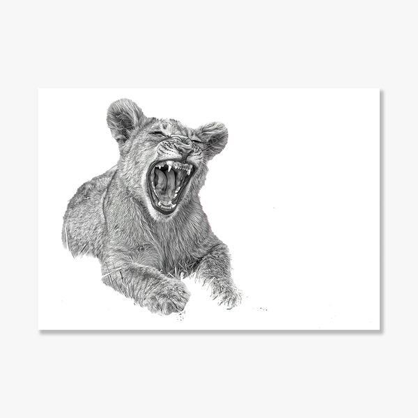 Lion No.4 Limited Print