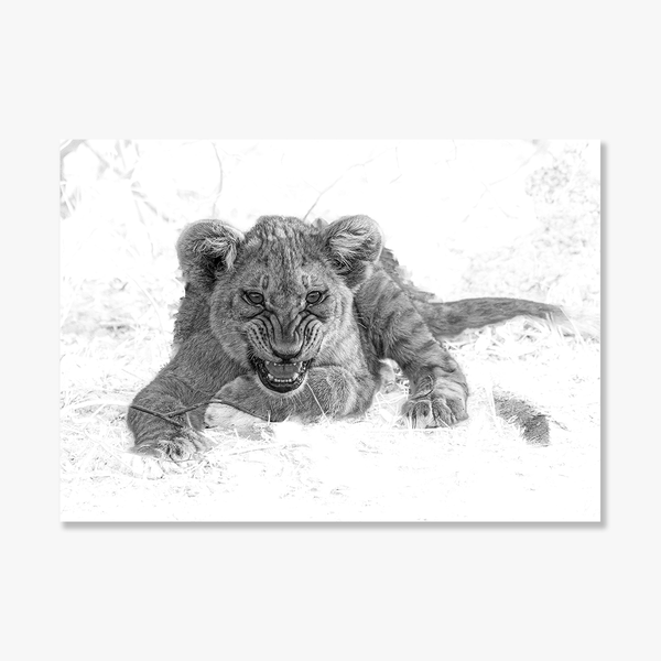 Lion No.7 Limited Print