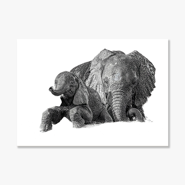 Elephant No.25 Limited Print