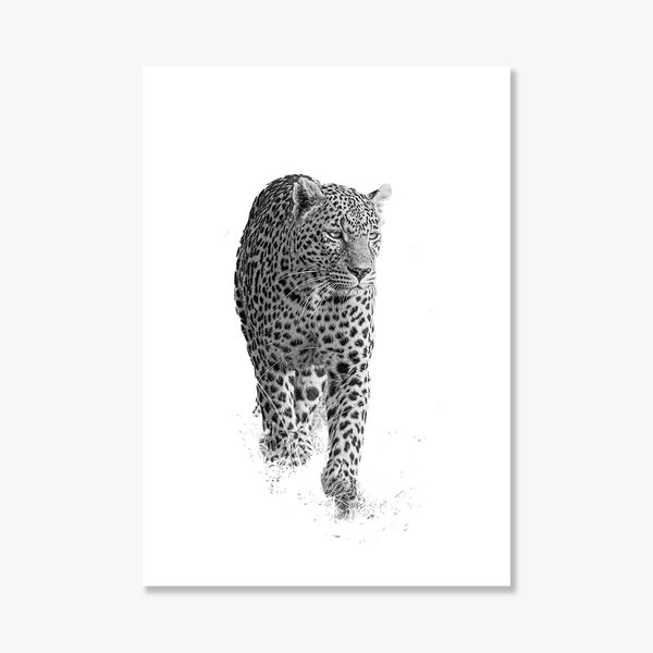 Leopard No.1 Limited Print