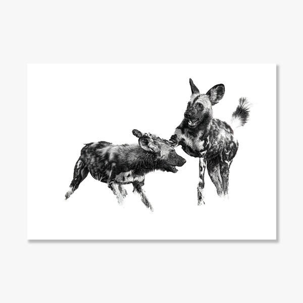 Wild Dog No.1 Limited Print