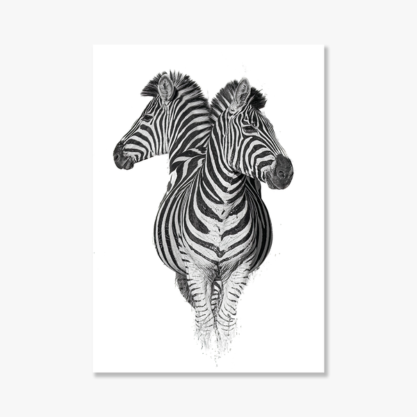 Zebra No.1 Limited Print